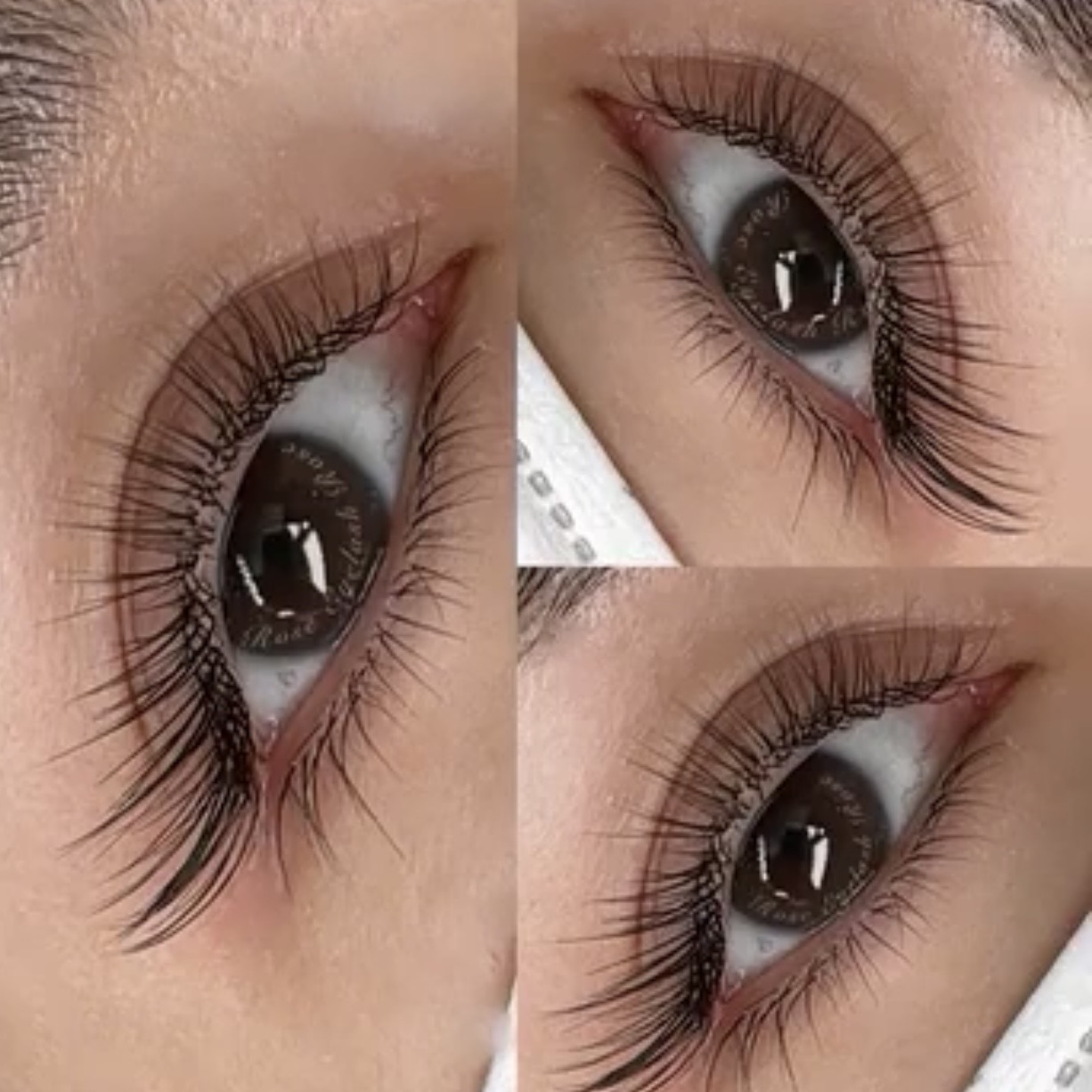 Wet Look classic lash design with defined closed fans